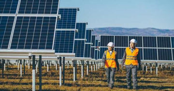 When-the-Photovoltaics-Industry-is-Integrated-With-Your-Fish-Pond SongSolar