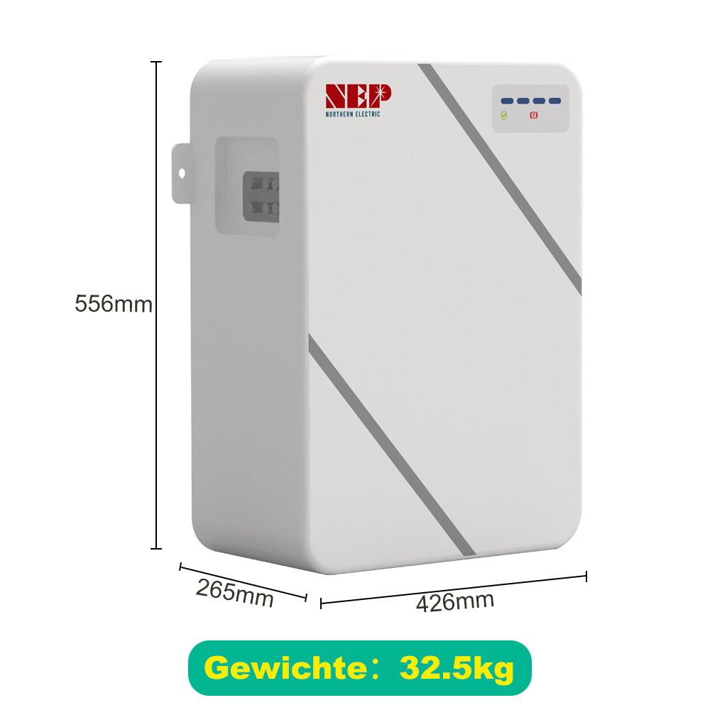NEP BDM 800W Mikro Wechselrichter 5m Netzkabel VDE + 2.76KWH NEP Solarstromspeicher VDE